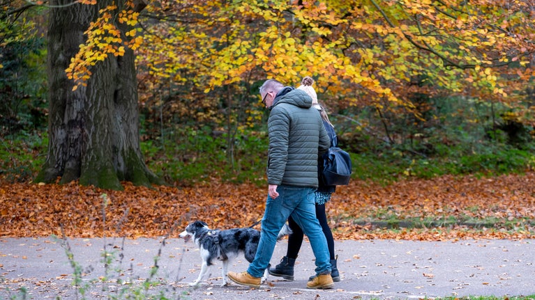 Dog walkers enjoying the autumn colours at Clumber